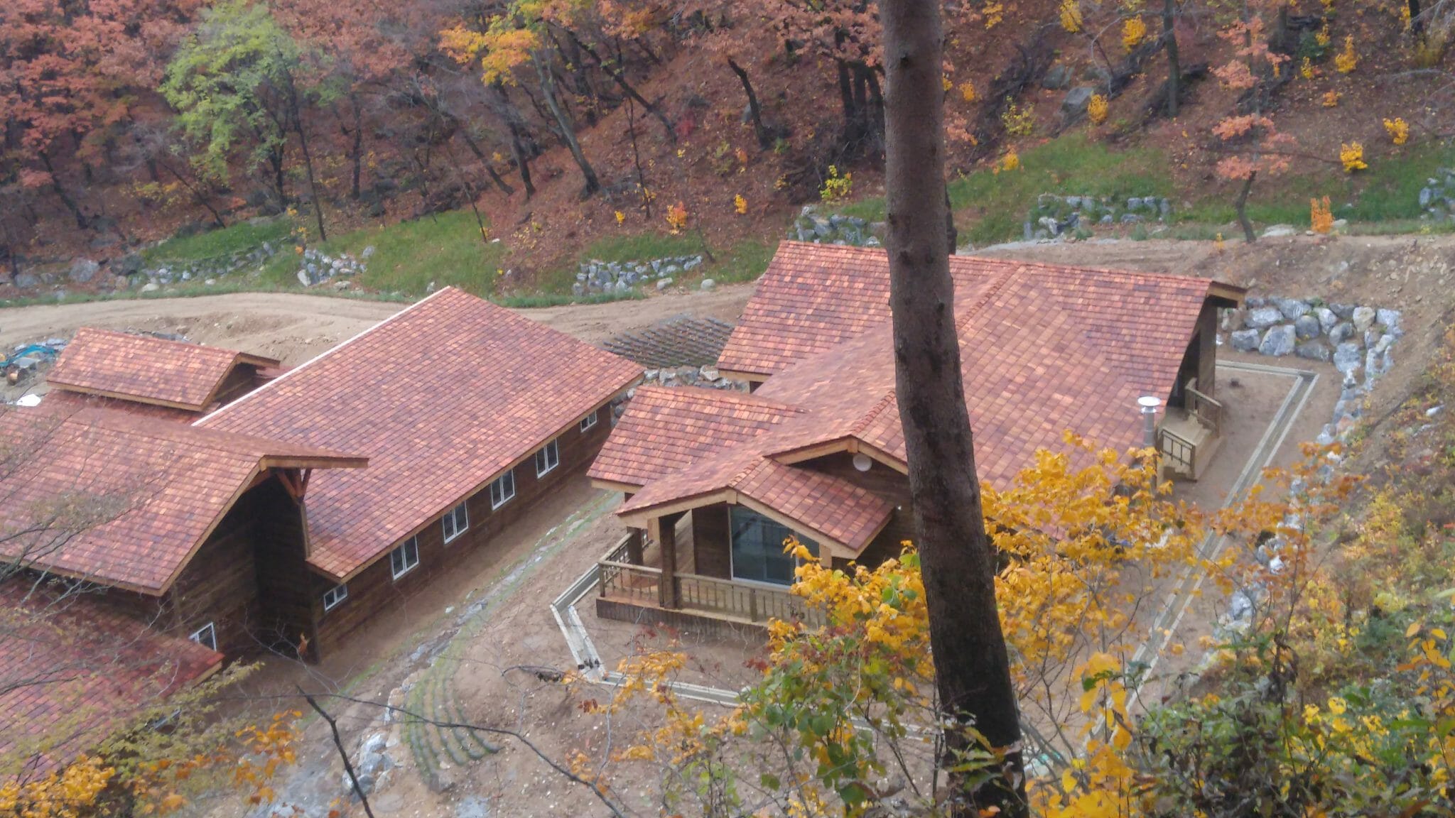 Western Red Cedar vs Alaskan Yellow Cedar Direct Cedar
