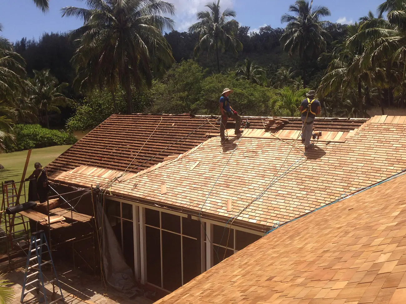 Western Red Cedar Shingles Hawaii