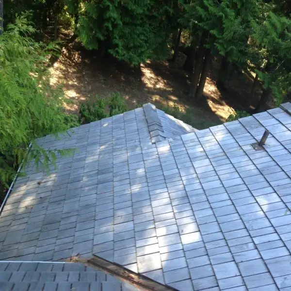 24 x 3:4 Alaskan Yellow Cedar Tapersawn