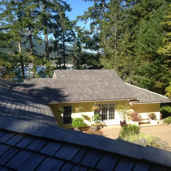 24 x 3:4 Yellow Cedar Tapersawns