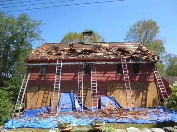 Alaskan Yellow Cedar CVG8 Tapersawn - Historic