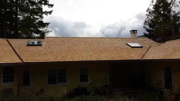 Alaskan Yellow Cedar Tapersawns