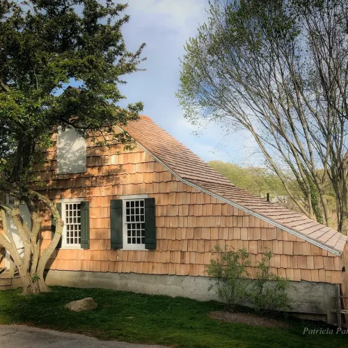 Direct Cedar & Roofing Supplies photo 6