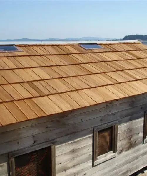 Custom Barn Shakes - 36" and up